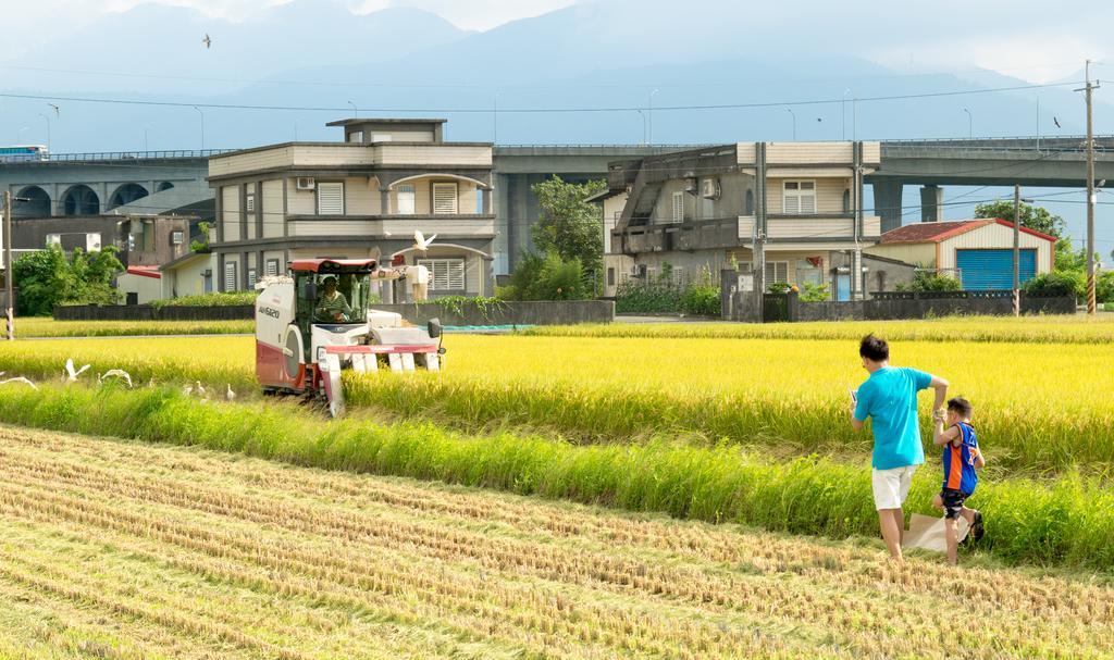 Pastoral Riverside Đông Sơn Ngoại thất bức ảnh